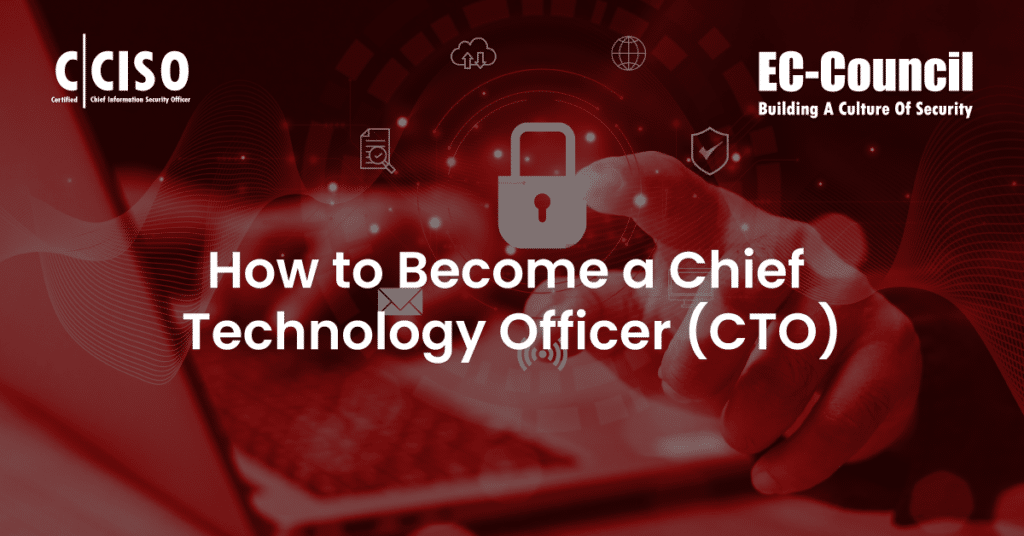 How to Become a Chief Technology Officer (CTO)